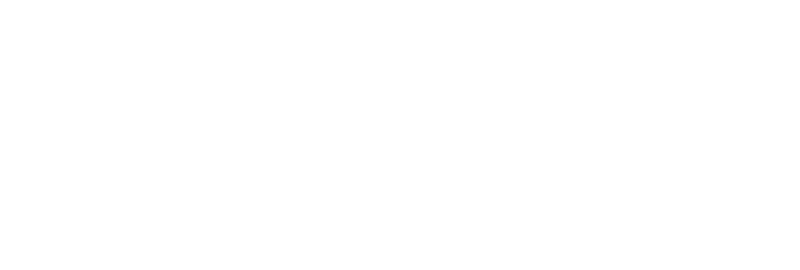Lucamax Logo